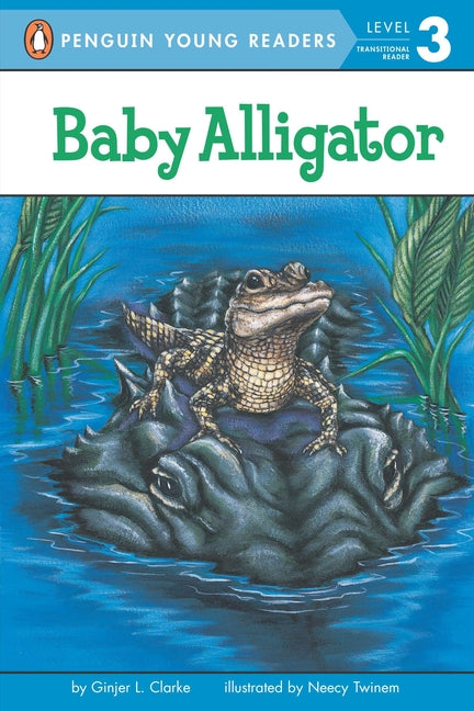 Book cover for Baby Alligator
