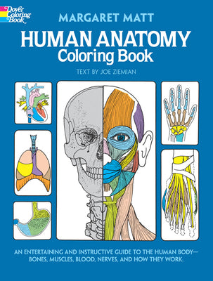 Book cover for Human Anatomy Coloring Book