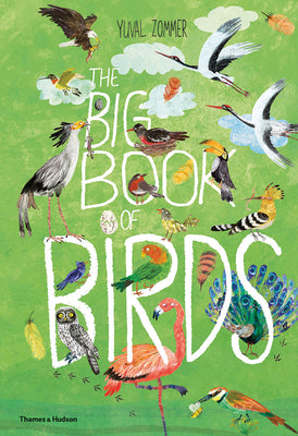 Book cover for The Big Book of Birds