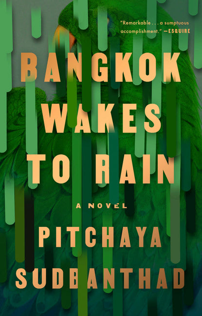 Book cover for Bangkok Wakes to Rain