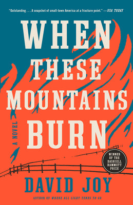 Book cover for When These Mountains Burn