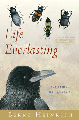 Book cover for Life Everlasting: The Animal Way of Death