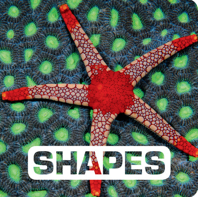 Book cover for Shapes
