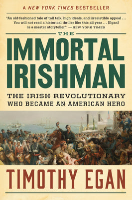 Book cover for The Immortal Irishman: The Irish Revolutionary Who Became an American Hero