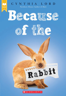 Book cover for Because of the Rabbit