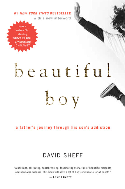 Book cover for Beautiful Boy: A Father's Journey Through His Son's Addiction