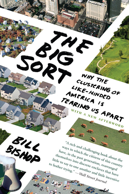 Book cover for Big Sort