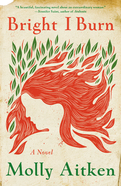 Book cover for Bright I Burn