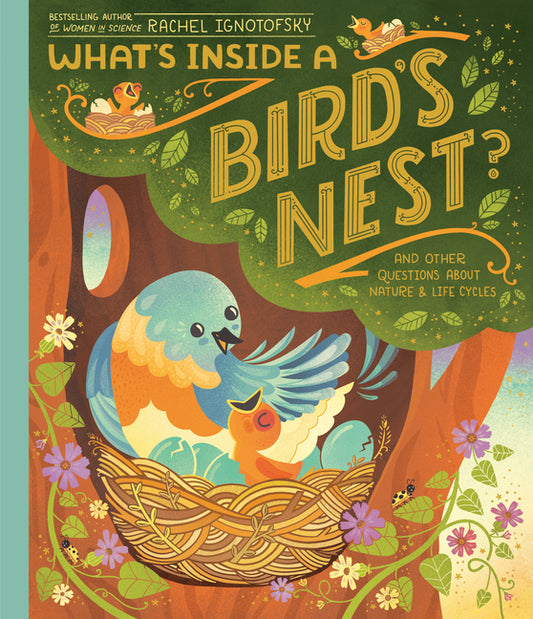 Book cover for What's Inside a Bird's Nest?: And Other Questions about Nature & Life Cycles