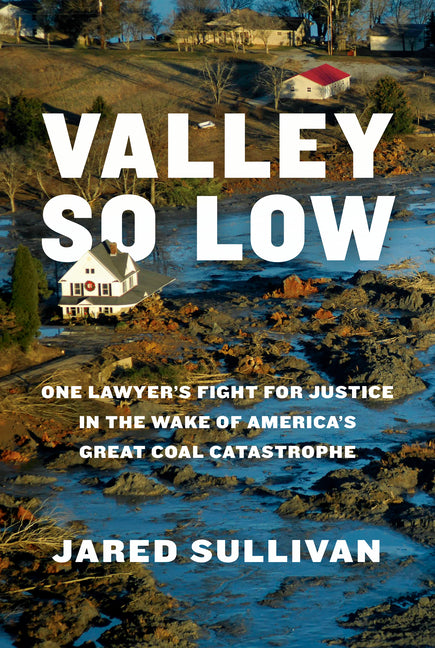 Book cover for Valley So Low: One Lawyer's Fight for Justice in the Wake of America's Great Coal Catastrophe