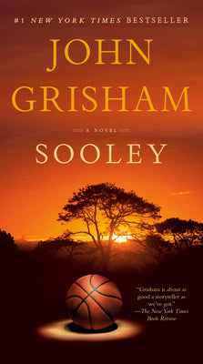 Book cover for Sooley