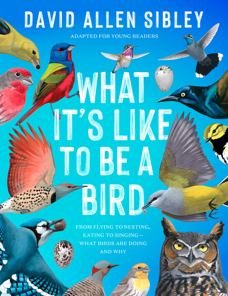 Book cover for What It's Like to Be a Bird (Adapted for Young Readers): From Flying to Nesting, Eating to Singing--What Birds Are Doing and Why