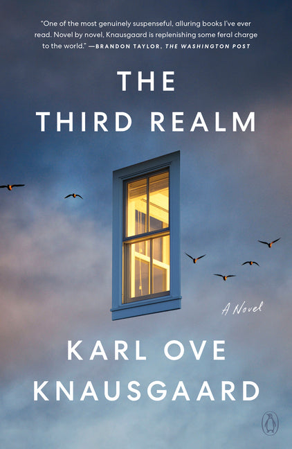 Book cover for Third Realm