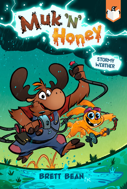Book cover for Stormy Weather #2