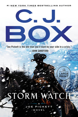 Book cover for Storm Watch