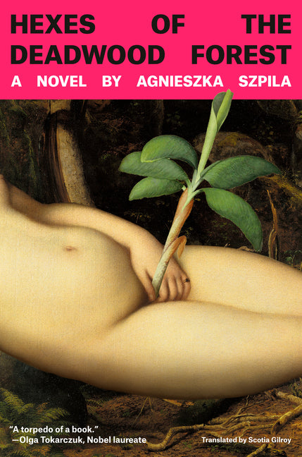 Book cover for Hexes of the Deadwood Forest