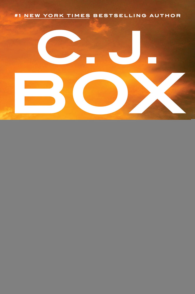 Book cover for Out of Range