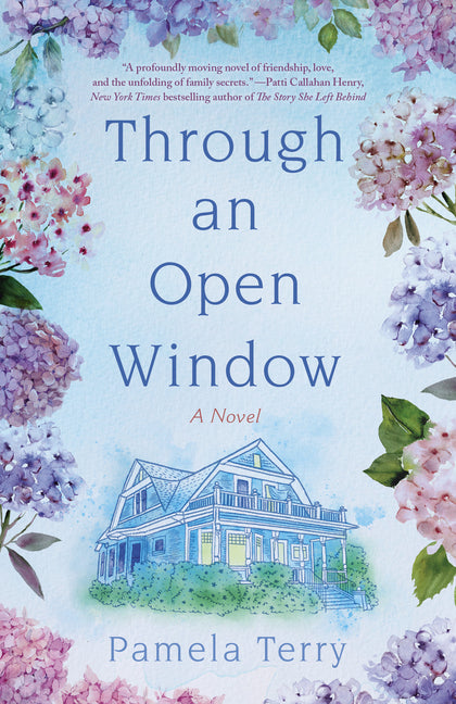 Book cover for Through an Open Window
