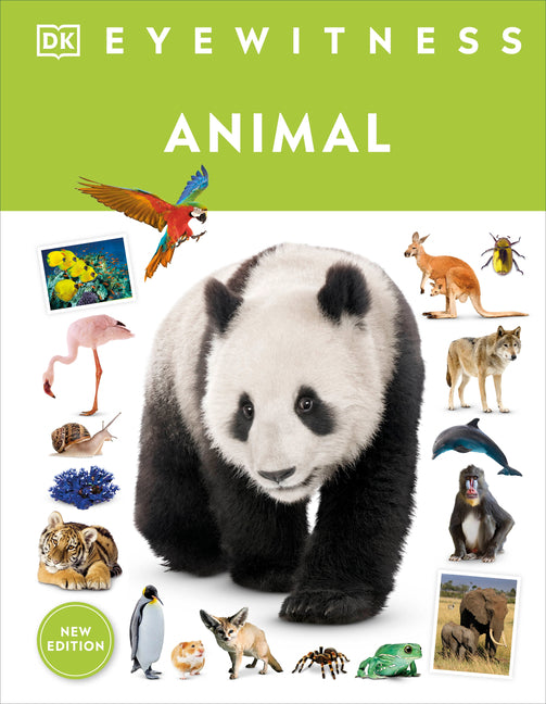 Book cover for Eyewitness Animal