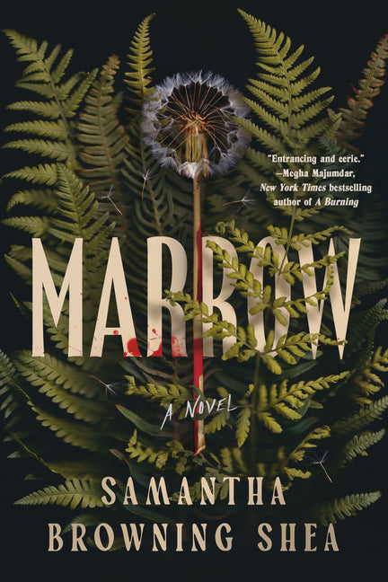 Book cover for Marrow