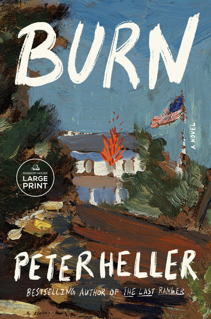 Book cover for Burn