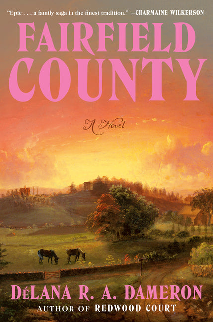 Book cover for Fairfield County