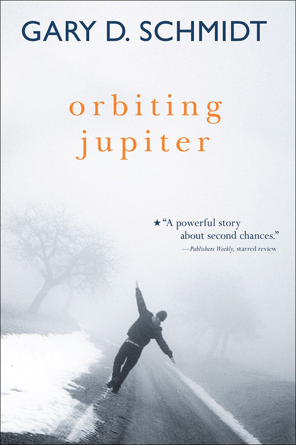 Book cover for Orbiting Jupiter