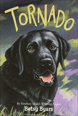 Book cover for Tornado