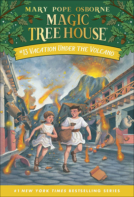 Book cover for Vacation Under the Volcano