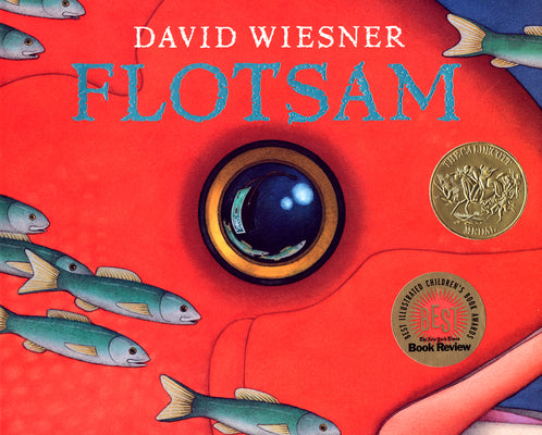 Book cover for Flotsam: A Caldecott Award Winner