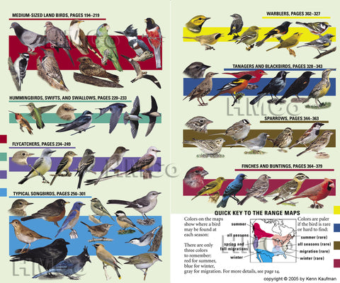 Book cover for Kaufman Field Guide to Birds of North America