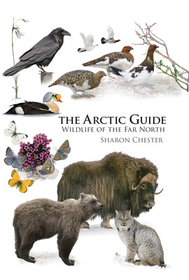 Book cover for The Arctic Guide: Wildlife of the Far North