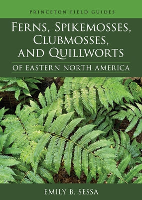 Book cover for Ferns, Spikemosses, Clubmosses, and Quillworts of Eastern North America