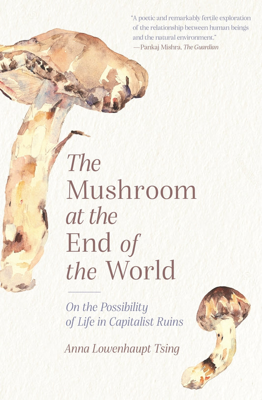 Book cover for The Mushroom at the End of the World: On the Possibility of Life in Capitalist Ruins