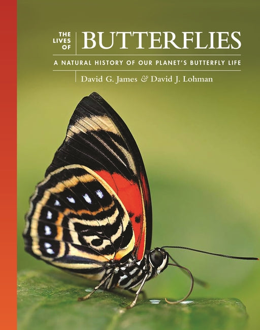 Book cover for The Lives of Butterflies: A Natural History of Our Planet's Butterfly Life