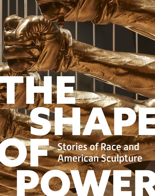Book cover for Shape of Power: Stories of Race and American Sculpture