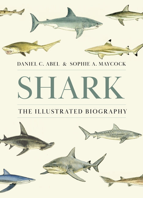 Book cover for Shark: The Illustrated Biography