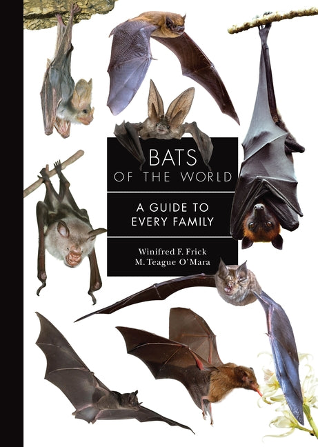 Book cover for Bats of the World: A Guide to Every Family