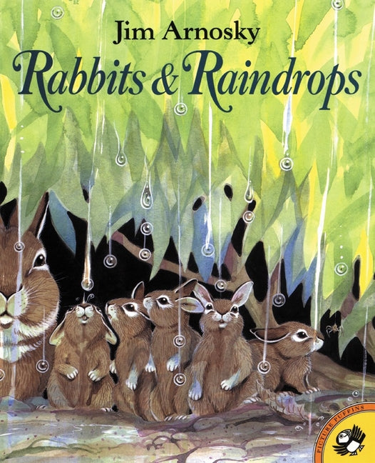 Book cover for Rabbits and Raindrops