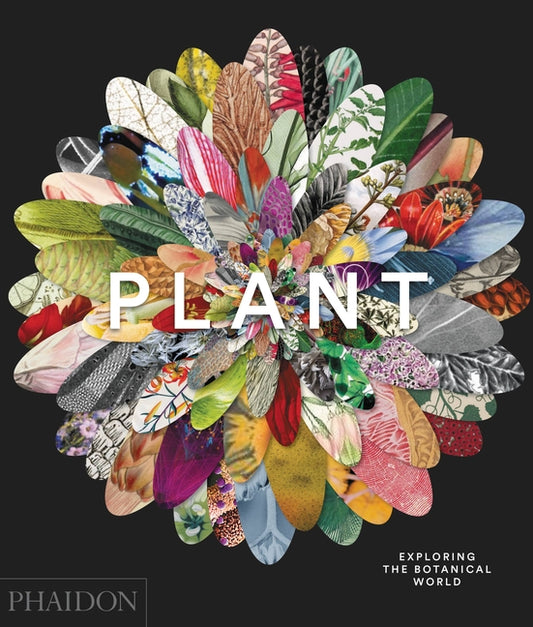 Book cover for Plant: Exploring the Botanical World