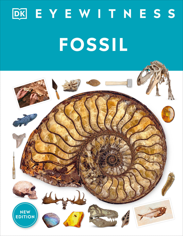 Book cover for Fossil