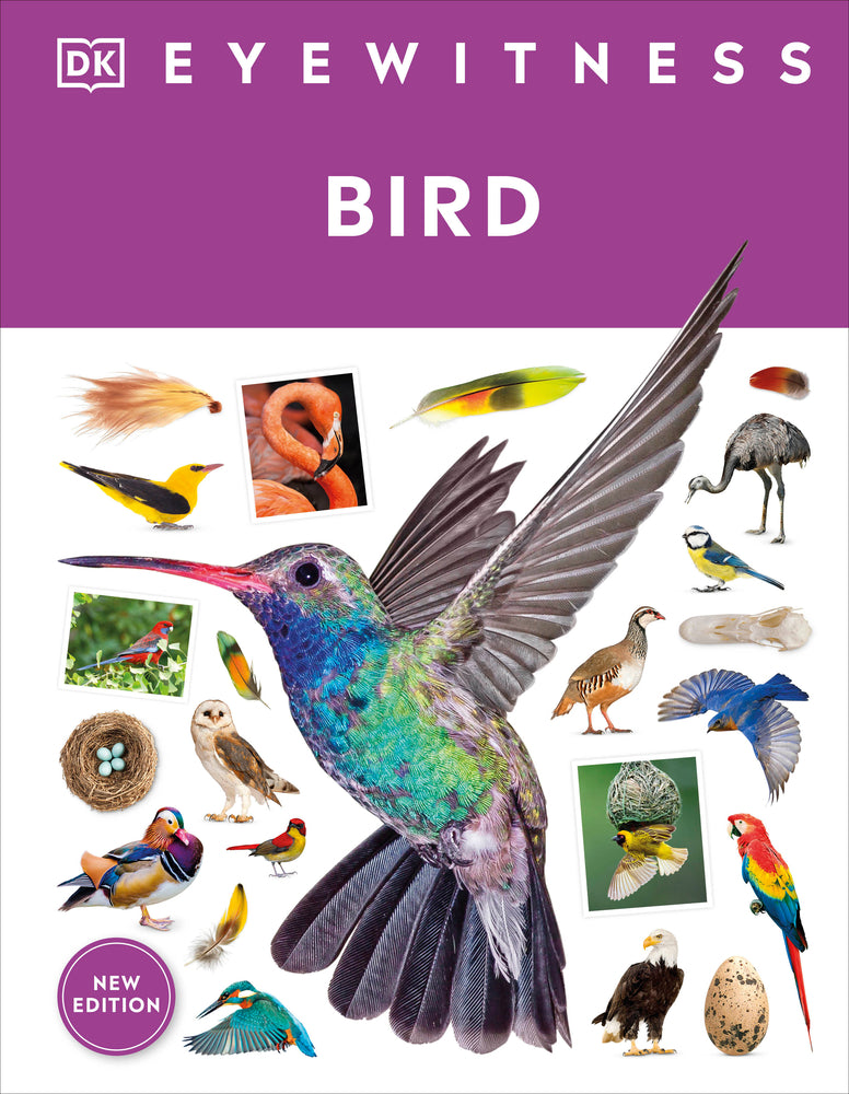 Book cover for Eyewitness Bird