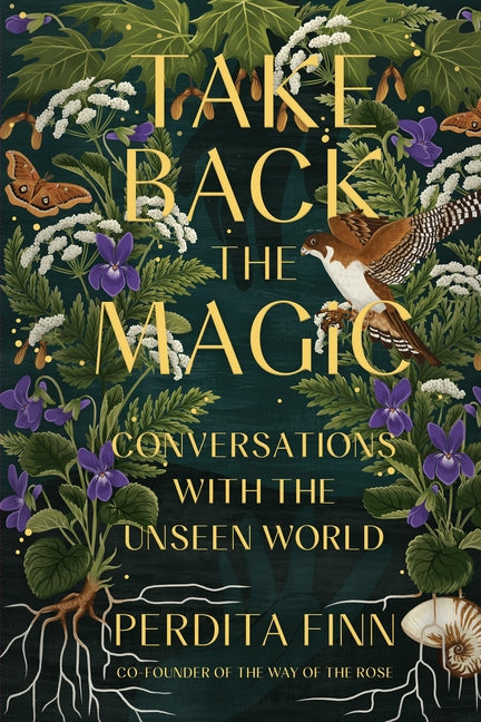 Book cover for Take Back the Magic: Conversations with the Unseen World