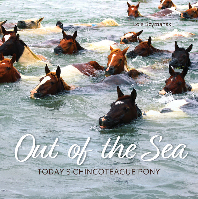 Book cover for Out of the Sea: Today's Chincoteague Pony (2nd Edition)