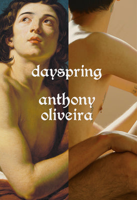 Book cover for Dayspring