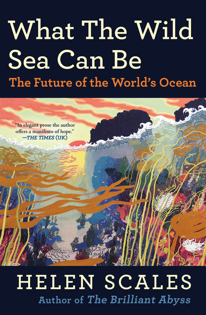 Book cover for What the Wild Sea Can Be: The Future of the World's Ocean