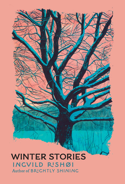 Book cover for Winter Stories