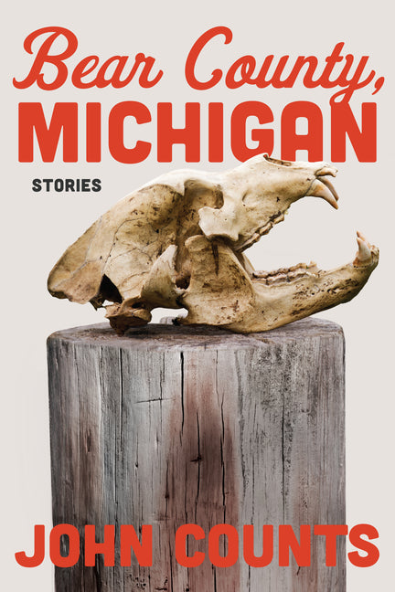 Book cover for Bear County, Michigan: Stories
