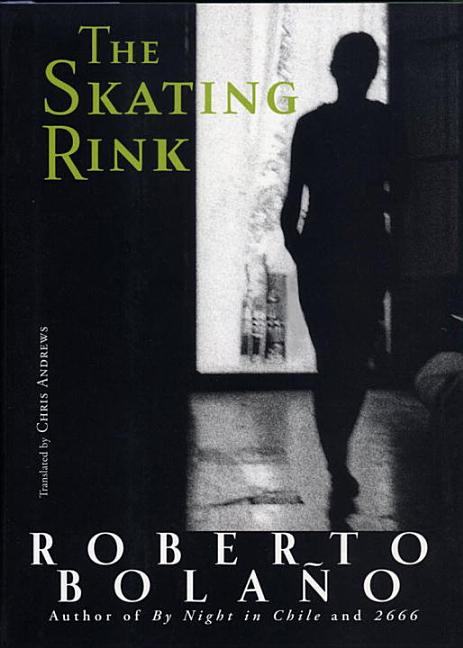 Book cover for Skating Rink