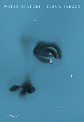 Book cover for The Water Statues